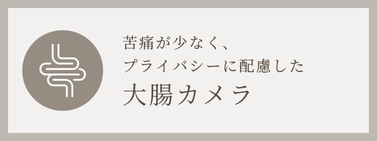 苦痛が少なく、プライバシーに配慮した大腸カメラ 大腸カメラ検査ページへ
