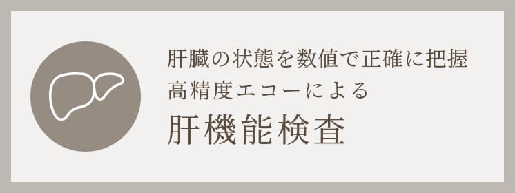 肝臓の状態を数値で正確に把握高精度エコーによる肝機能検査 肝臓内科ページへ